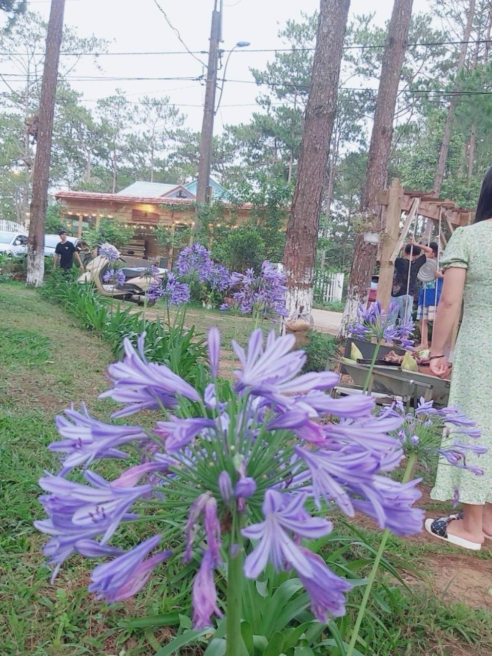 S'Nghe Homestay Mang Den Kon Von Kla Экстерьер фото