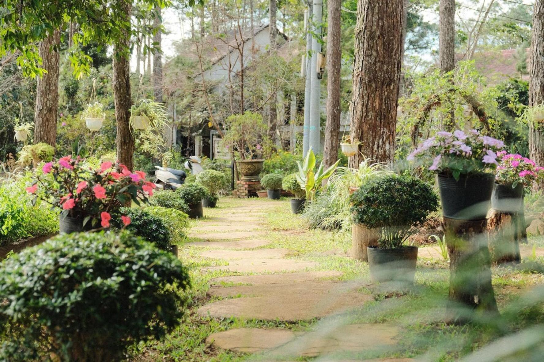 S'Nghe Homestay Mang Den Kon Von Kla Экстерьер фото