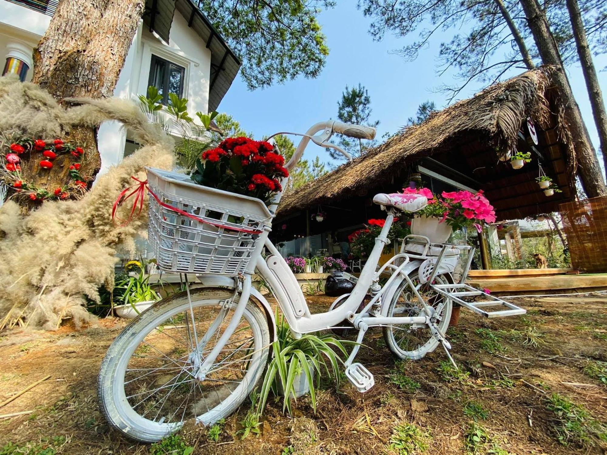 S'Nghe Homestay Mang Den Kon Von Kla Экстерьер фото
